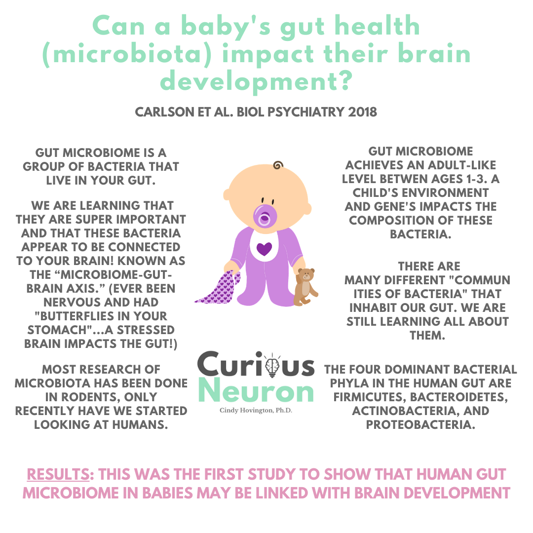 Gut health and baby's brain.png