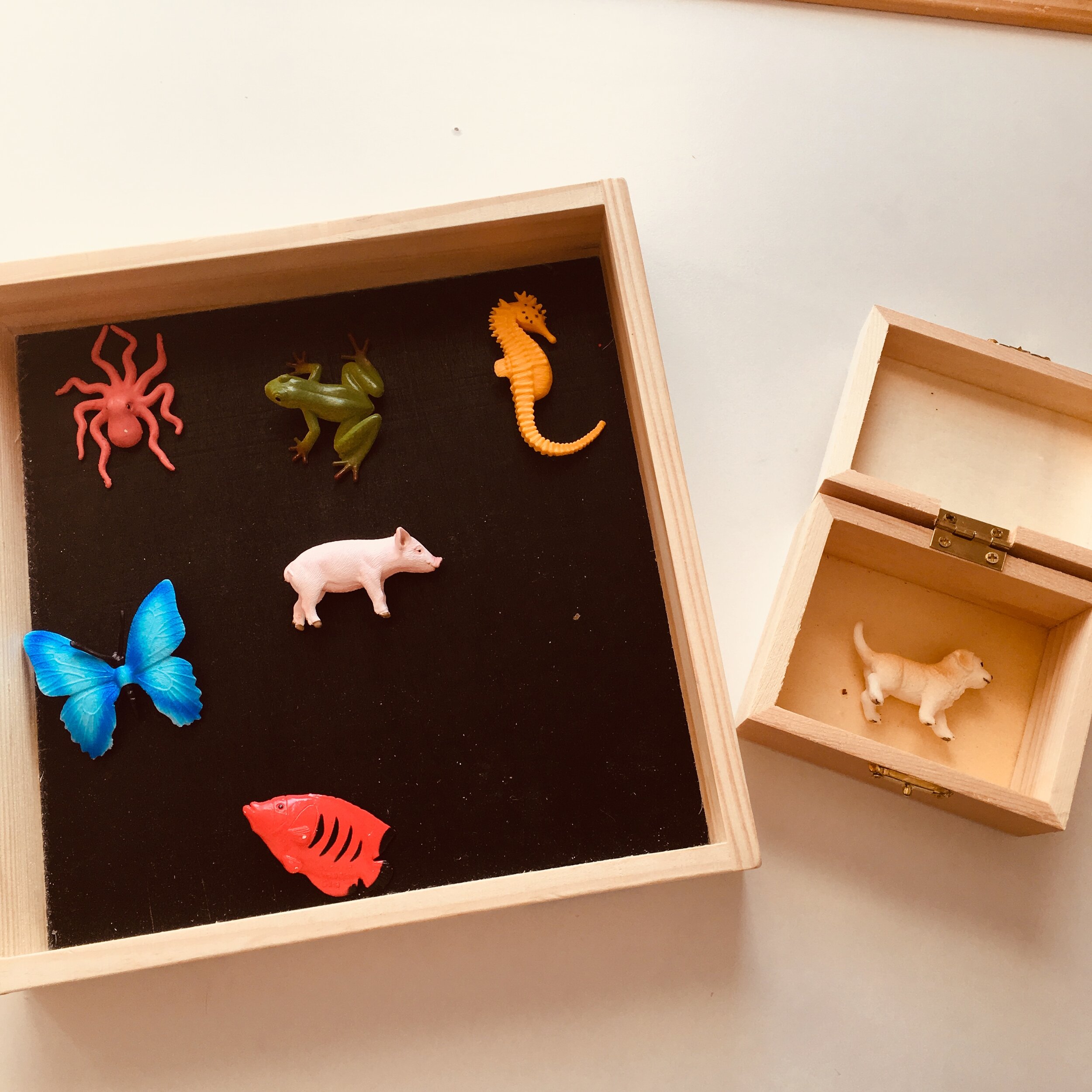 Inside of putting animals in a bin, I only take a few out and I display them on this tray and offer a small wooden box with a latch. My kids like placing these animals inside and pretend they are travelling with it.