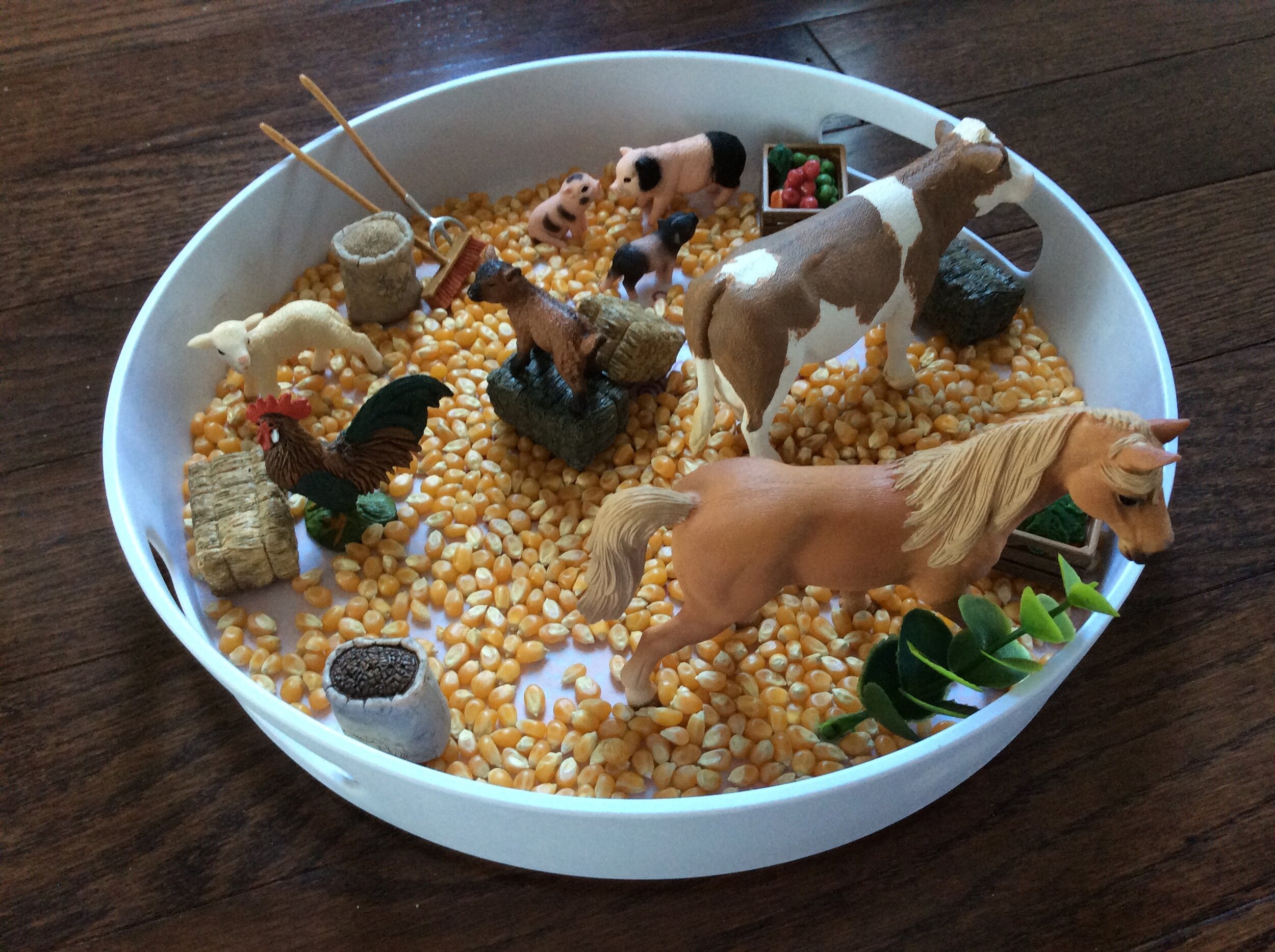 A sensory tray and invitation to play! I added popcorn kernels with farm animal figurines.