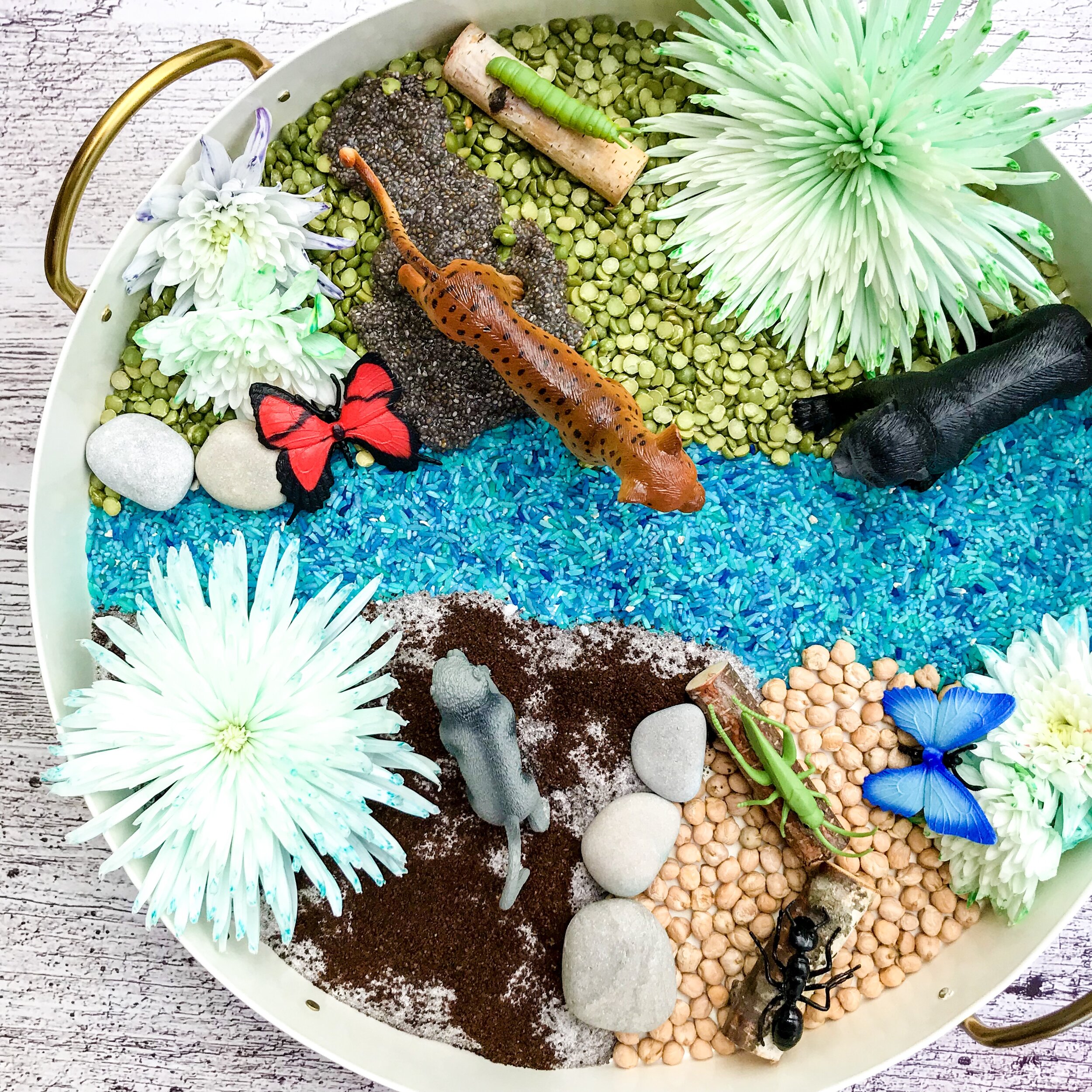 Follow @rattleandrollkids on Instagram for some inspiration when it comes to sensory bins and invitations to play. Just looking at this picture makes ME want to play!