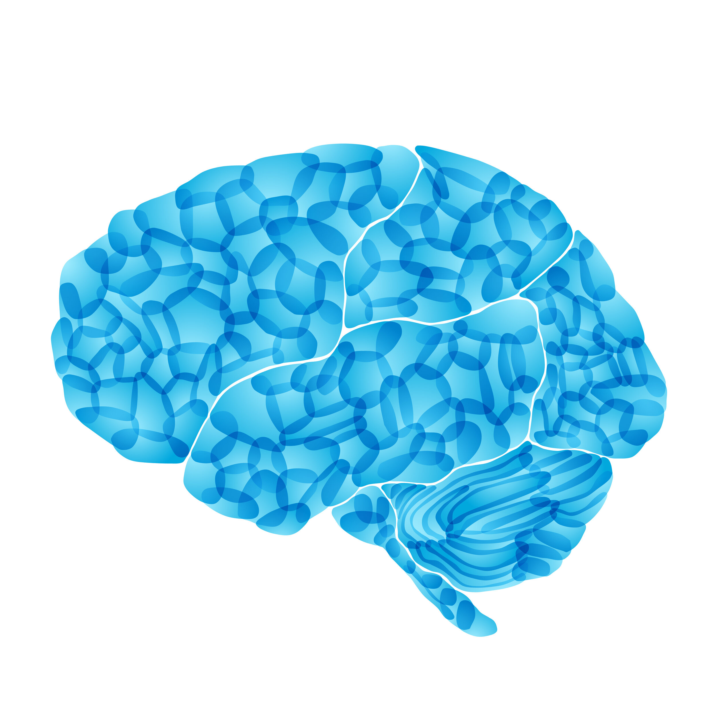 blue brain.jpg